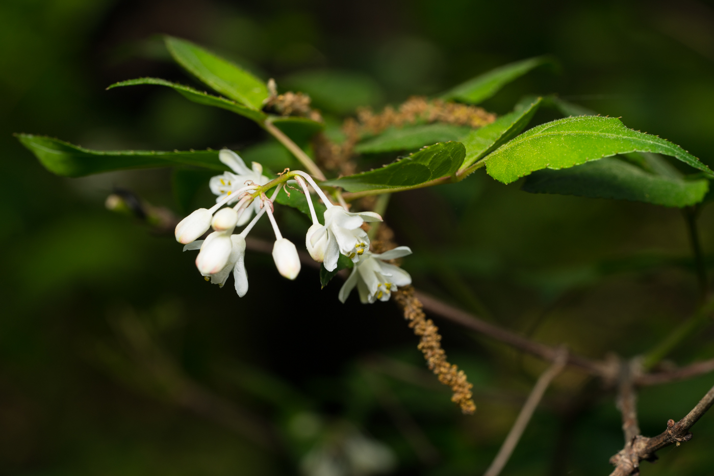 YDY02259.jpg