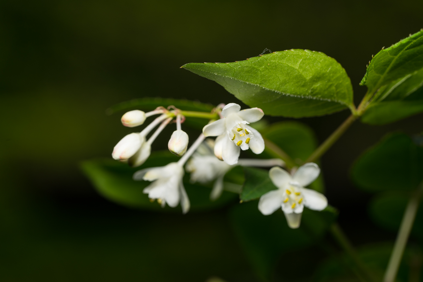 YDY02260.jpg
