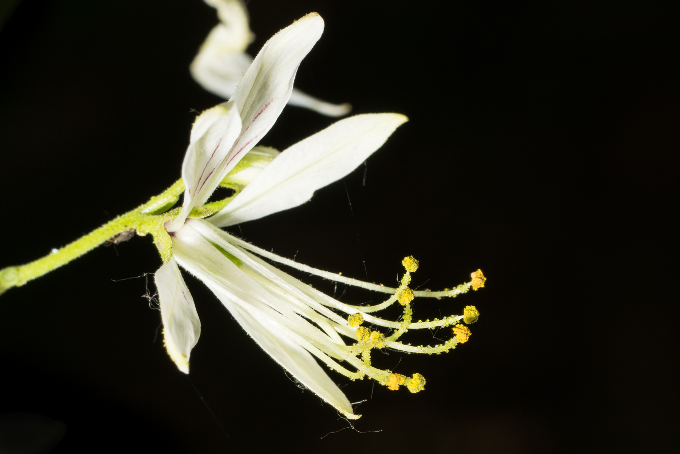 YDY07636.jpg