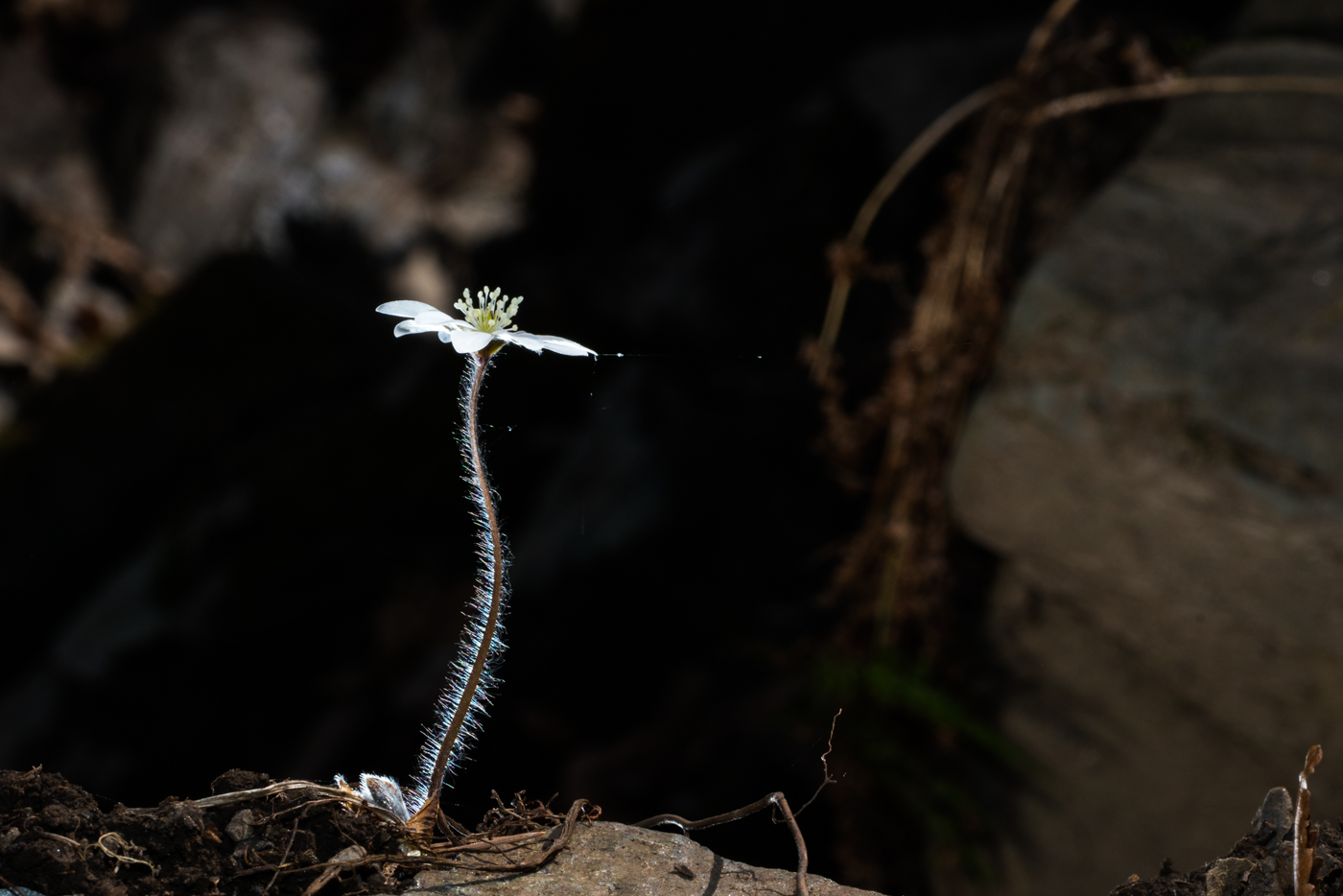YDY05091.jpg