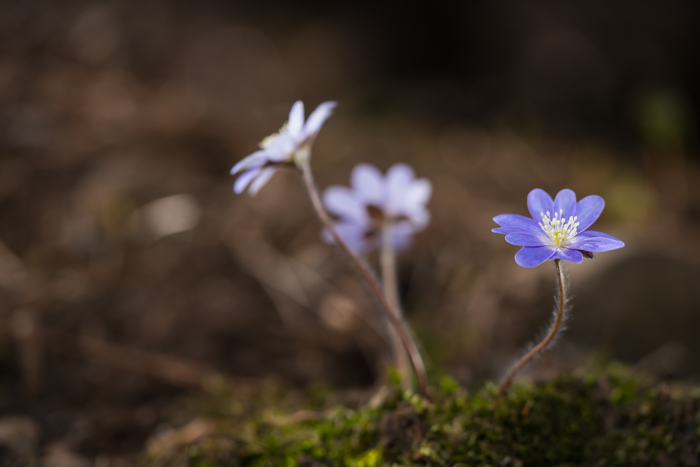 YDY05046.jpg