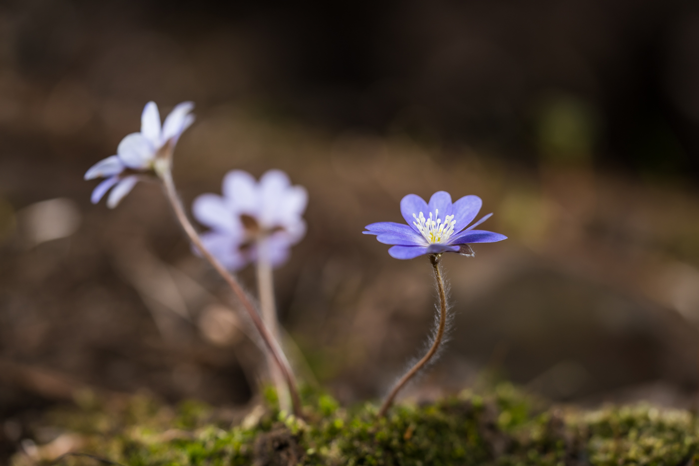 YDY05040.jpg