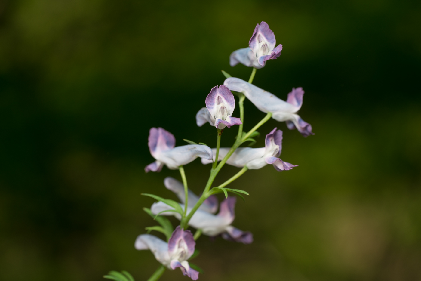 YDY02263.jpg