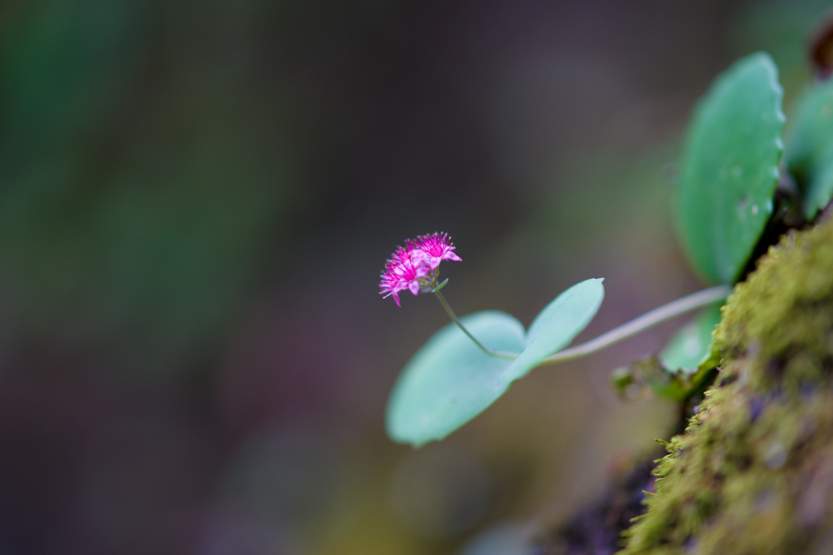 DSC09745.jpg