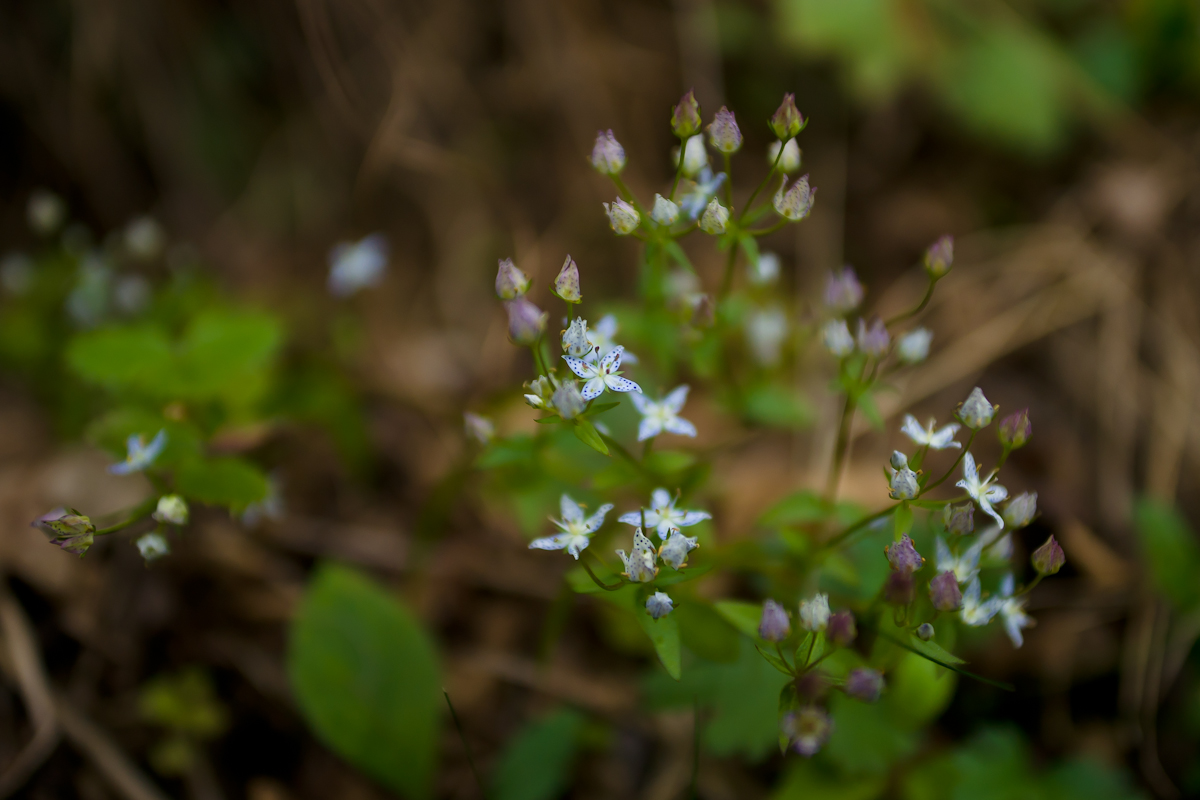 DSC05719.jpg
