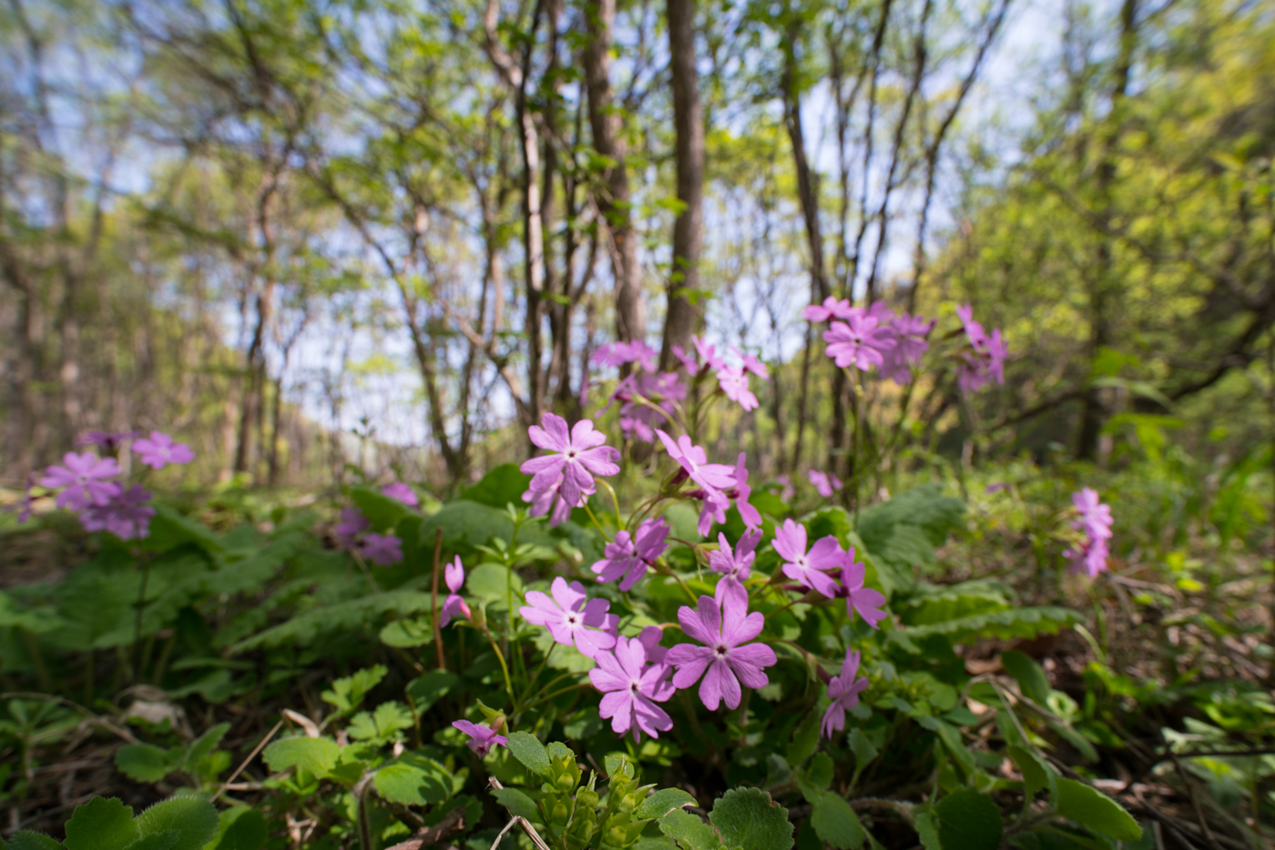 YDY06928.jpg