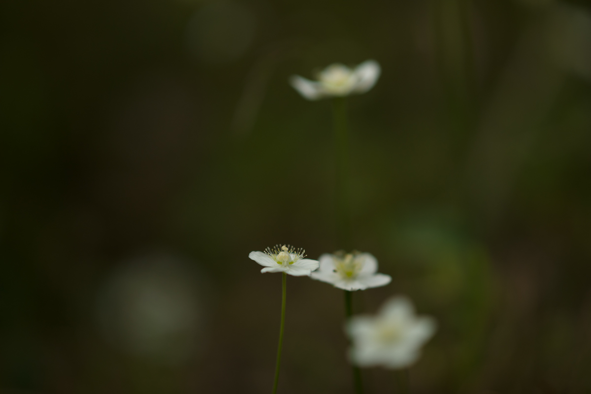 DSC05781.jpg