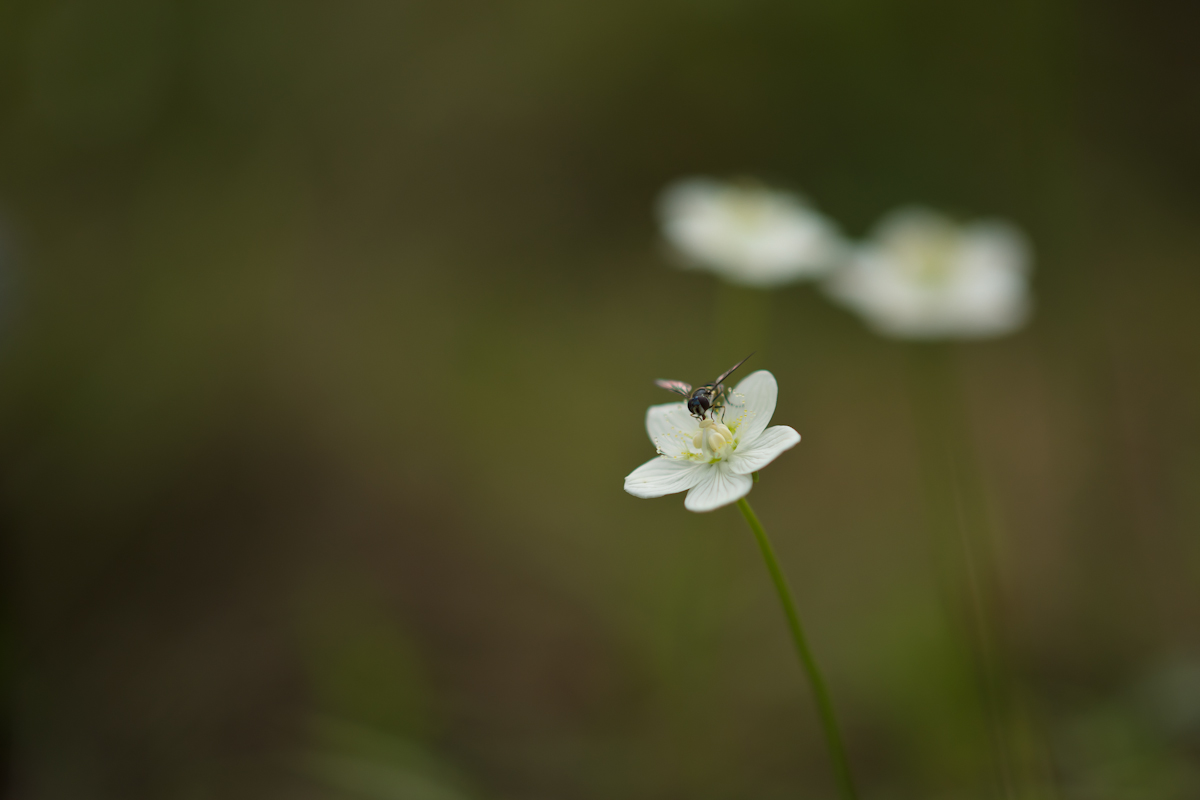 DSC05819.jpg