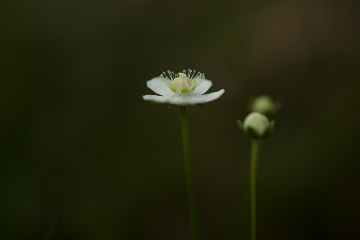 DSC05783.jpg