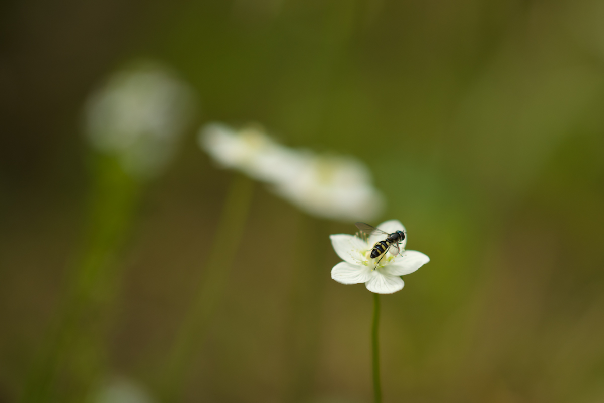 DSC05758.jpg