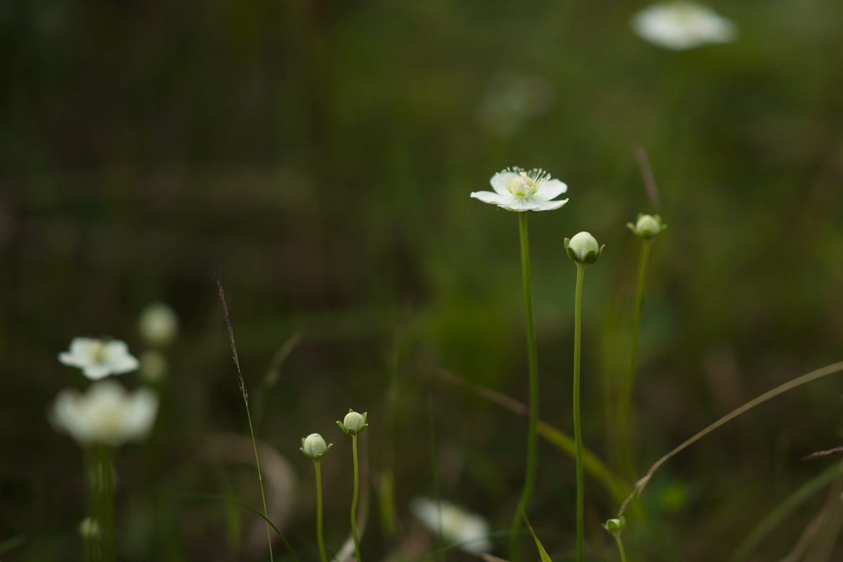 DSC05811.jpg