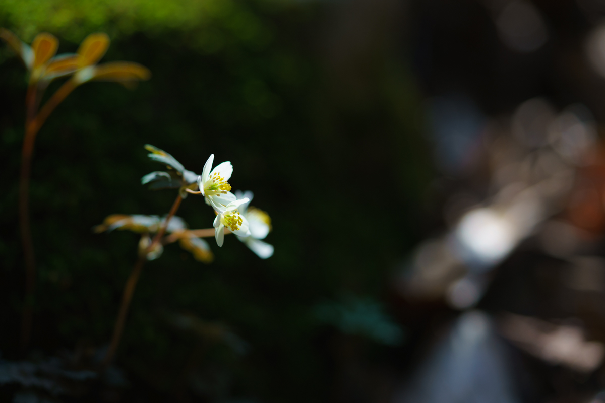 a92629a6db69c202b3239e582505fea2.jpg