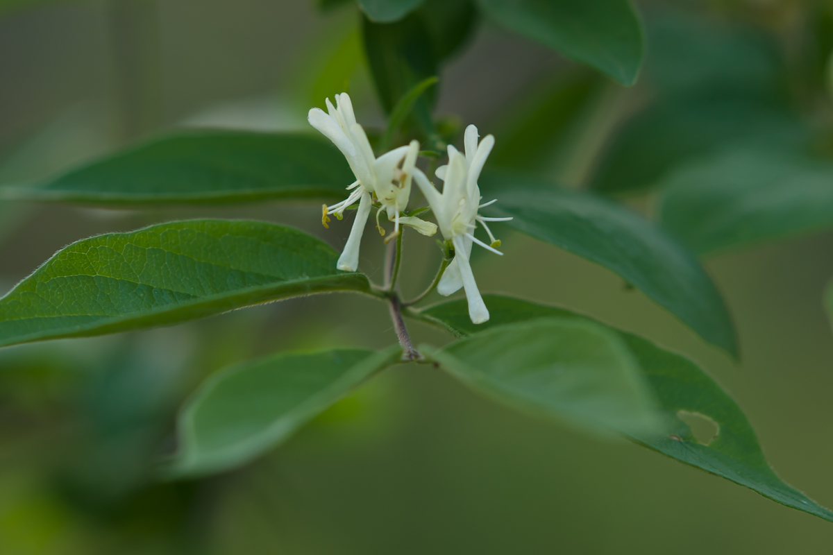 DSC07125.jpg