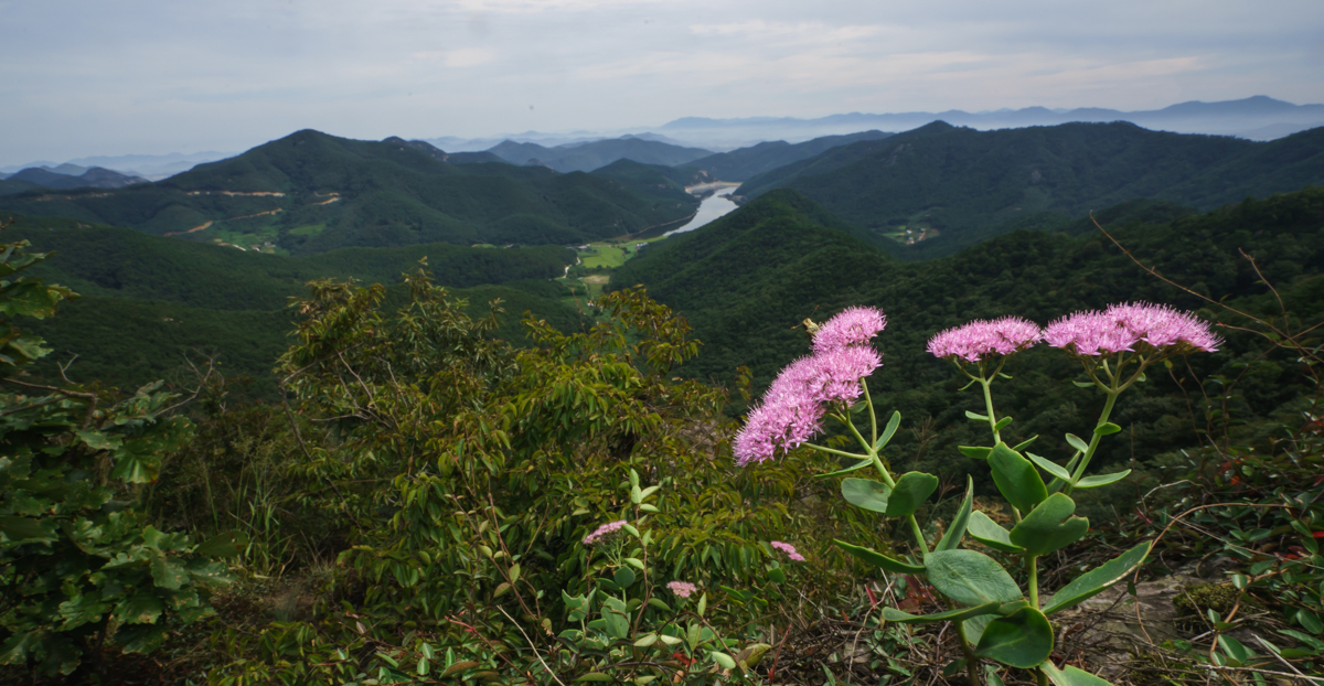 DSC07854.jpg