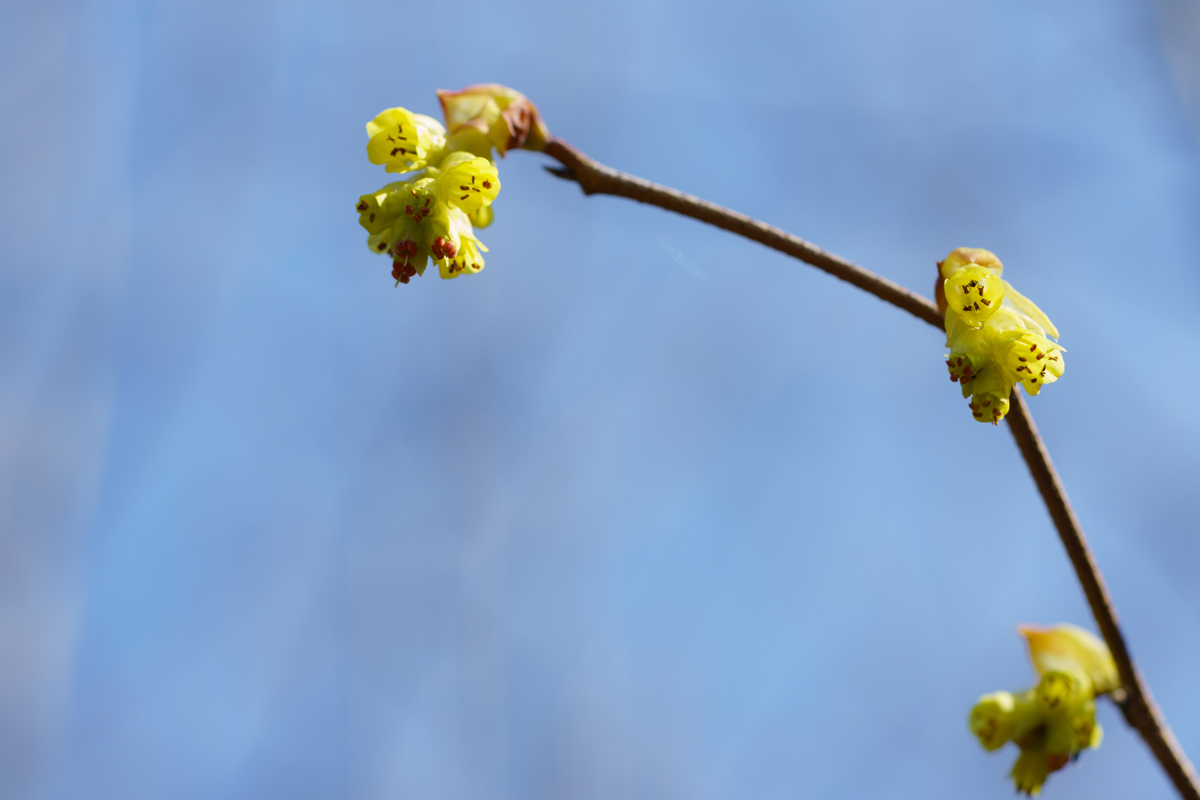 DSC00389.jpg