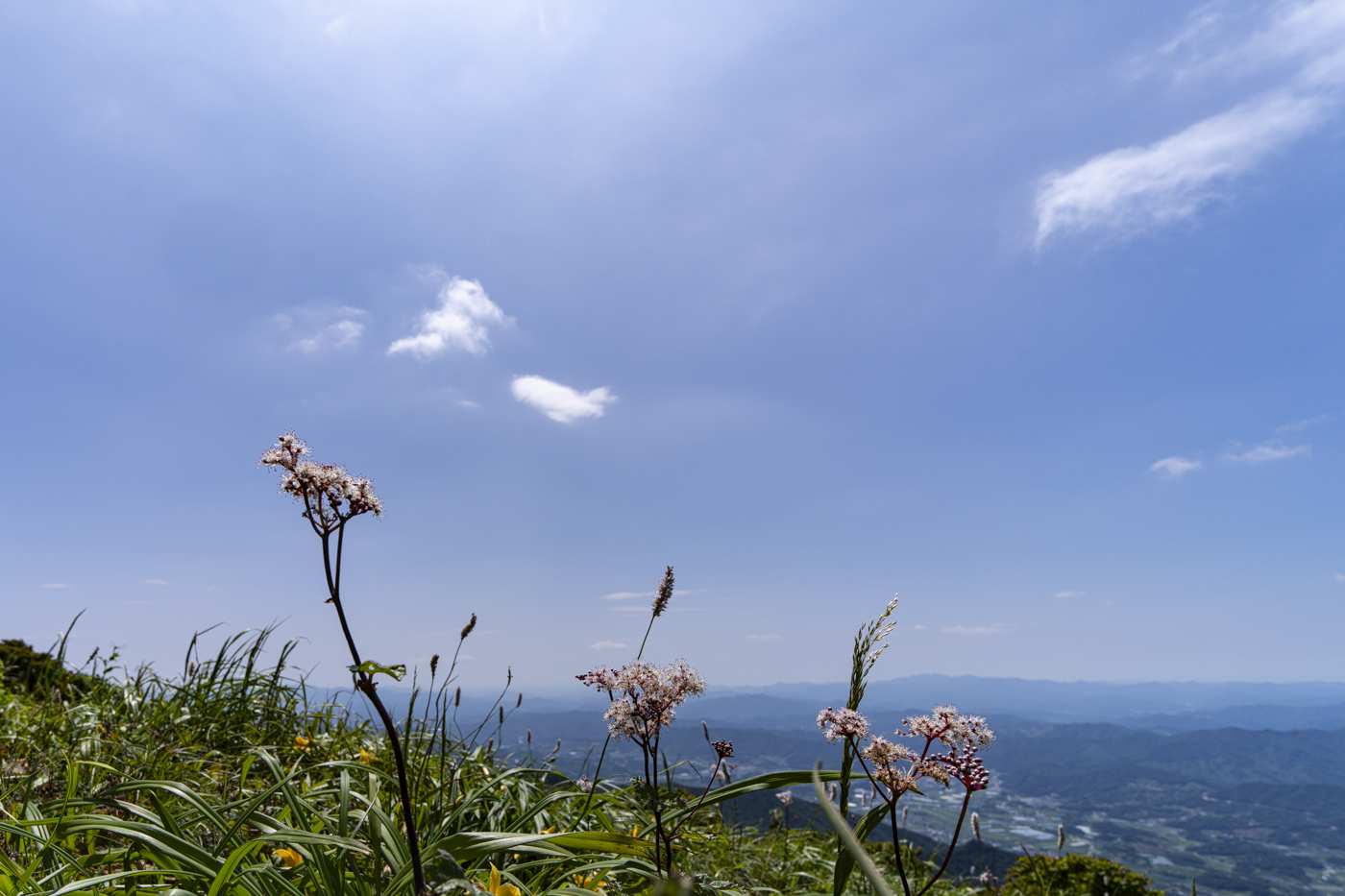 YDY00632.jpg