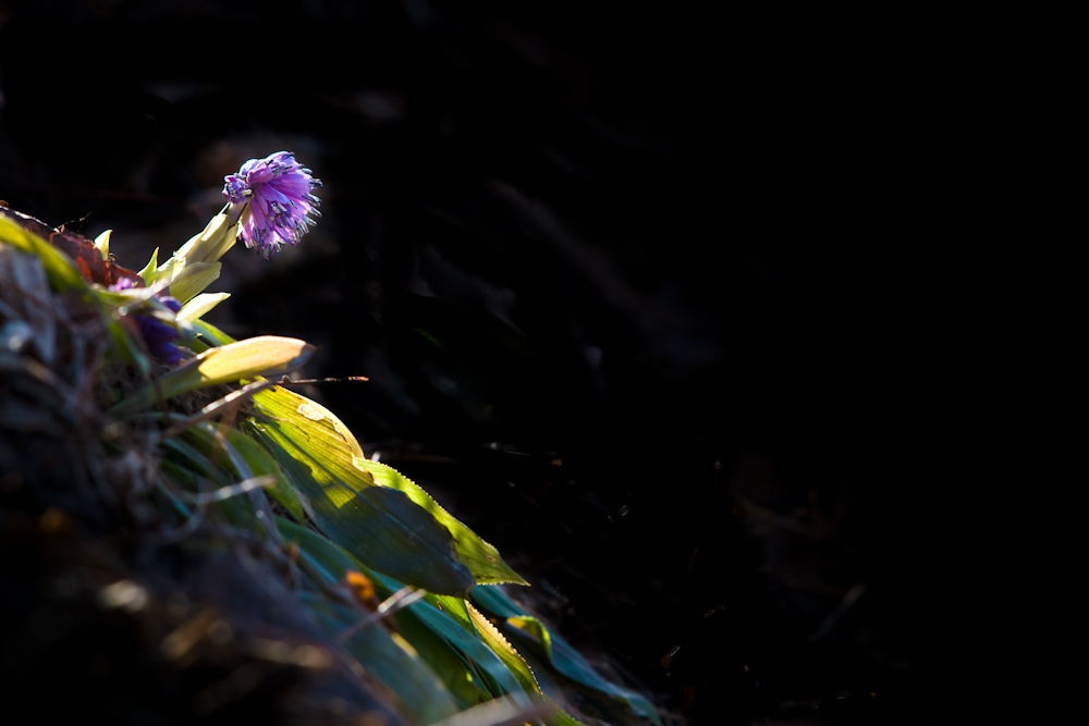DSC03105.jpg