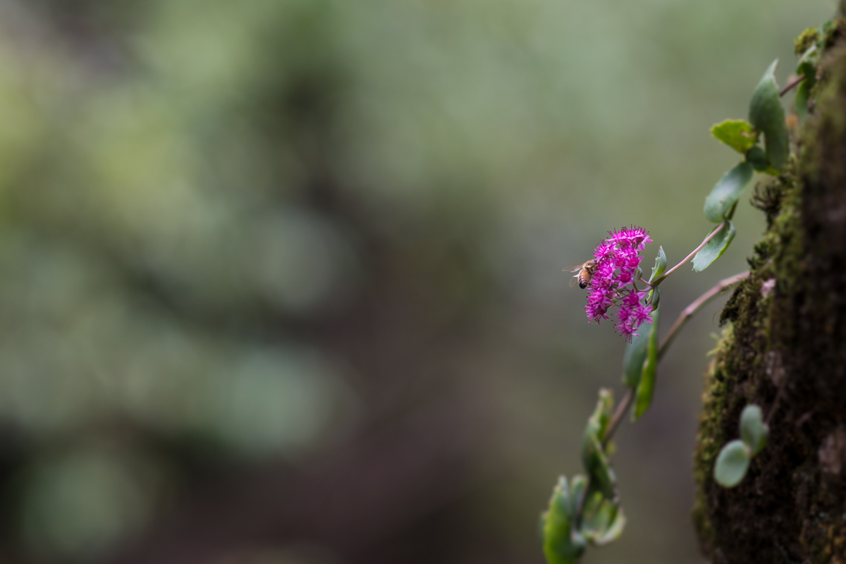 DSC08447.jpg