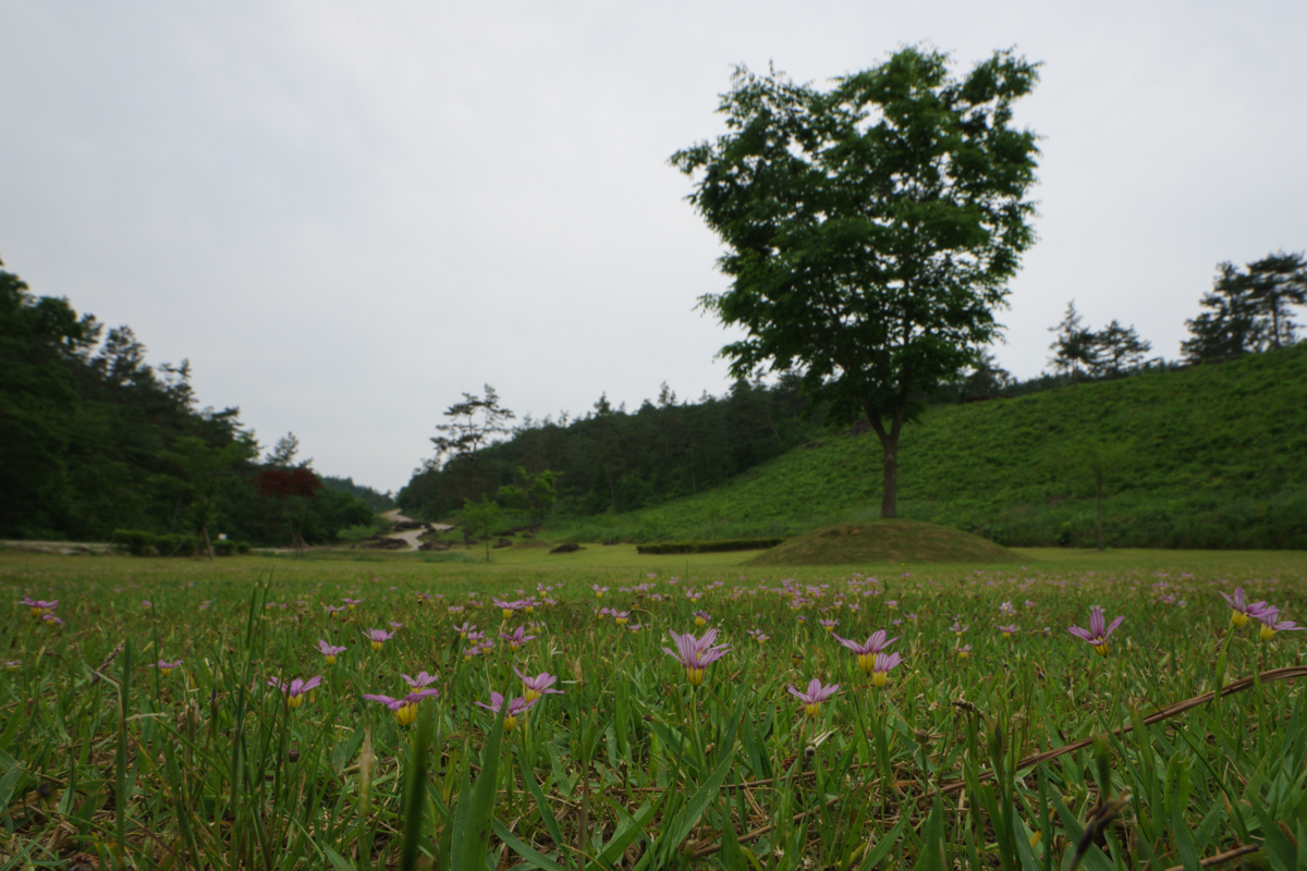 DSC00760.JPG