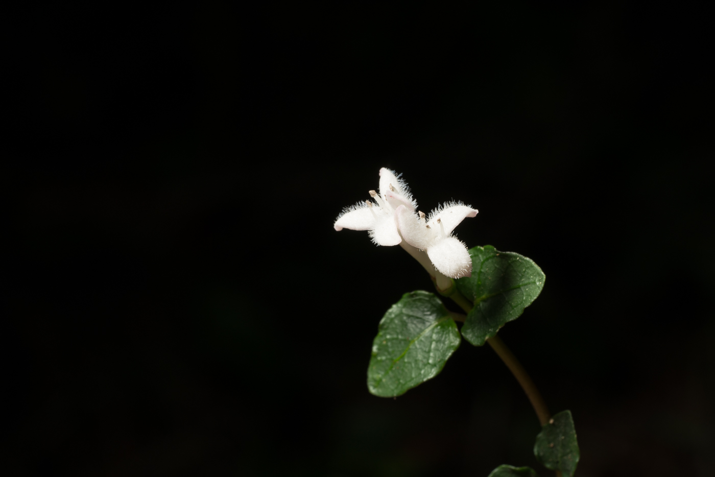 b2af9962ca1081569f100245a4e3de28.jpg