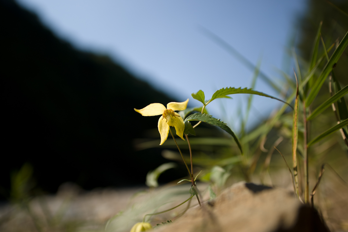 DSC06316.jpg