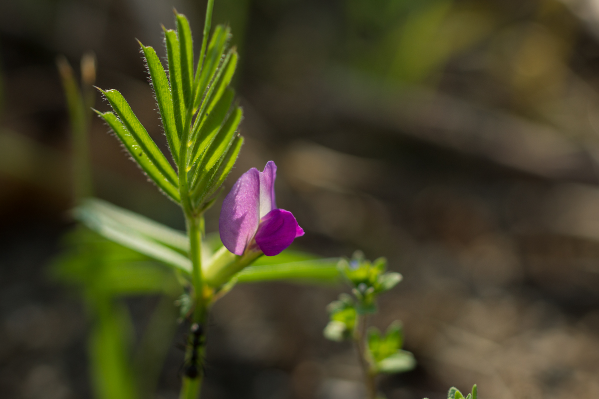 DSC02324.JPG