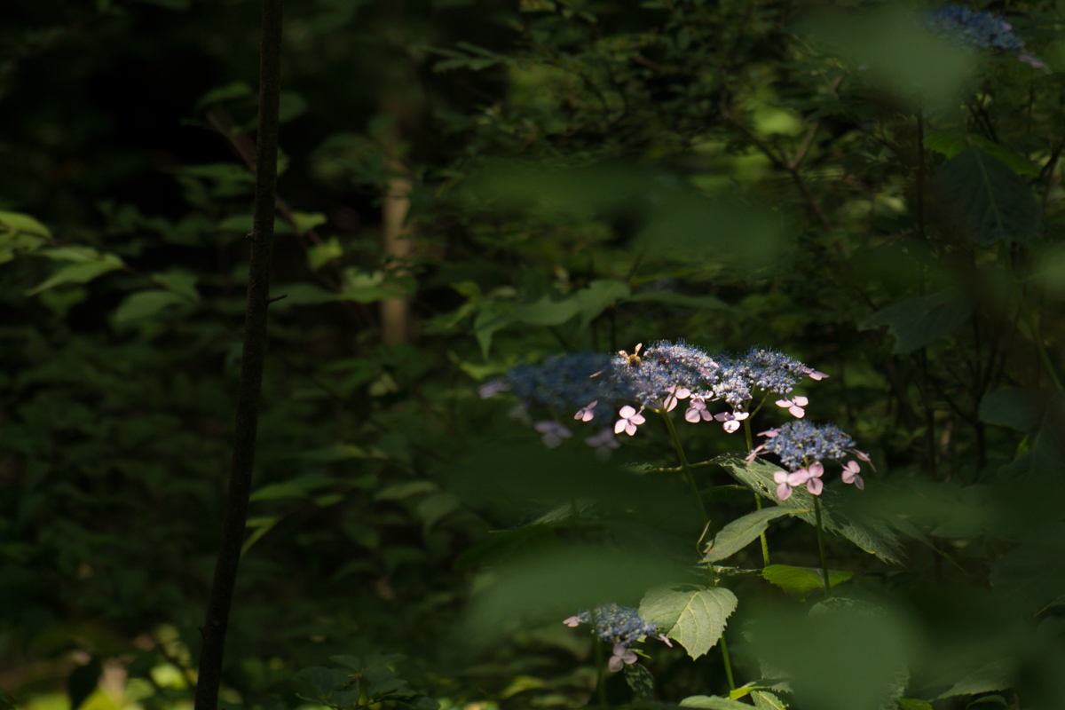 DSC03273.jpg