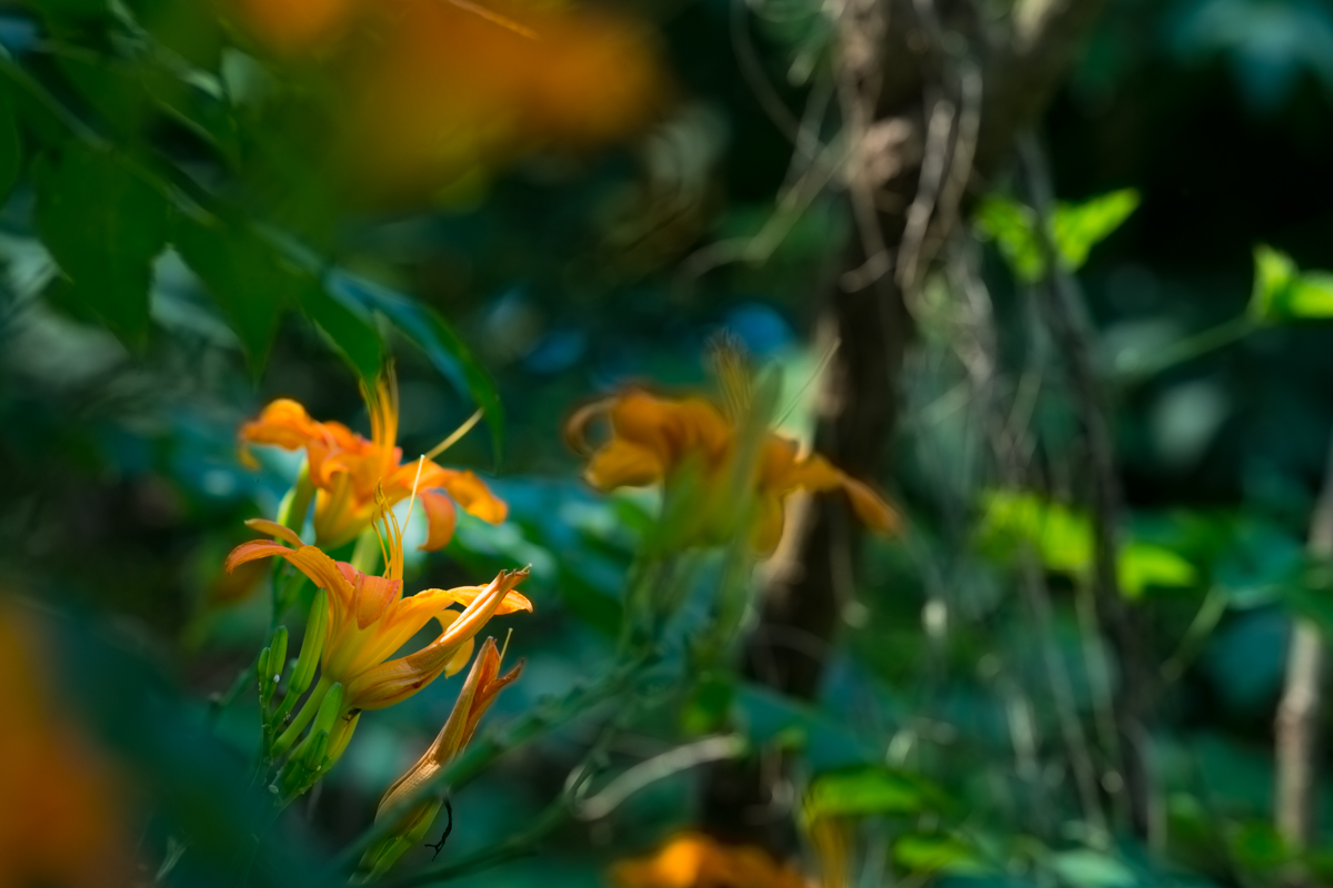 DSC01399.jpg