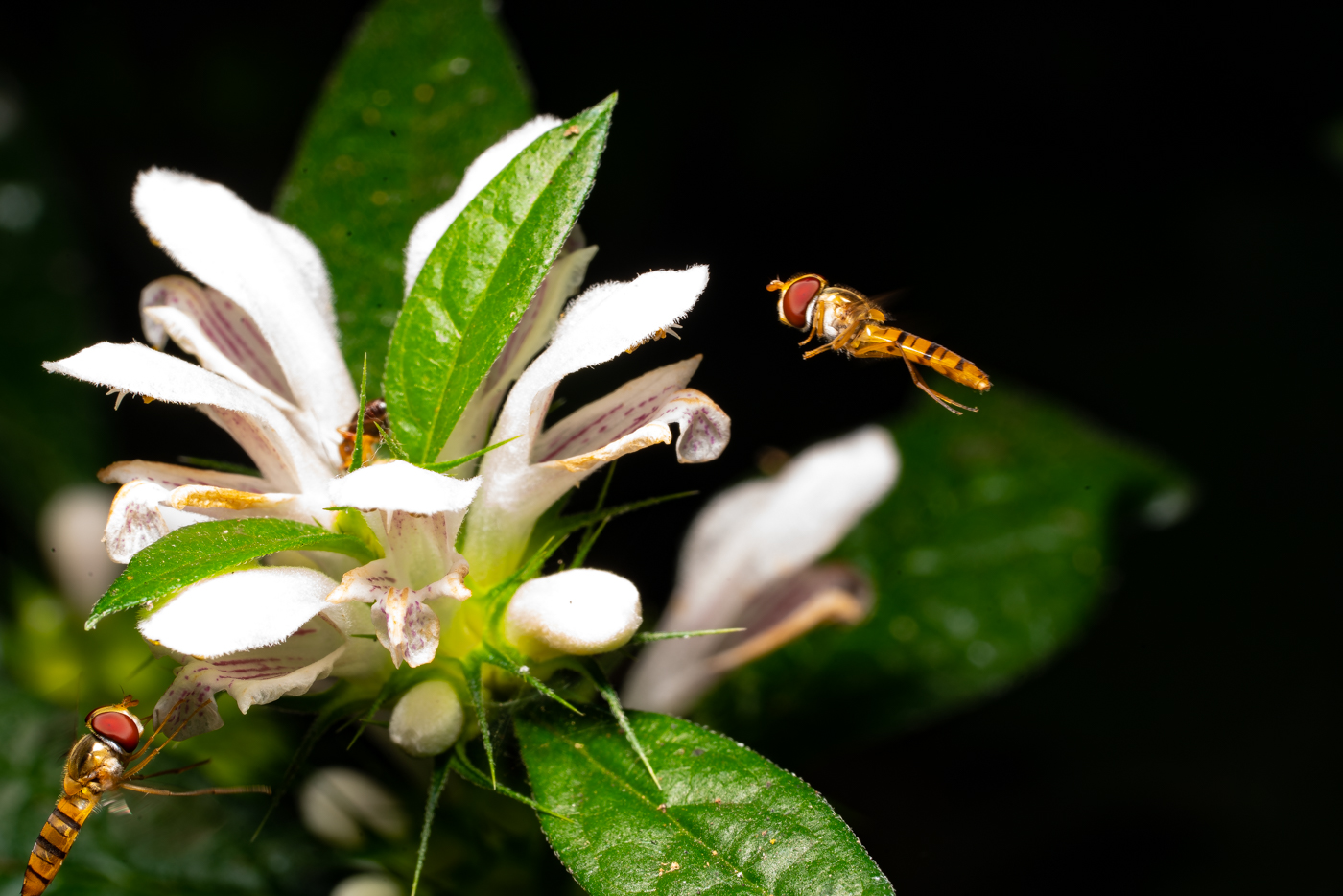 YDY09483.jpg