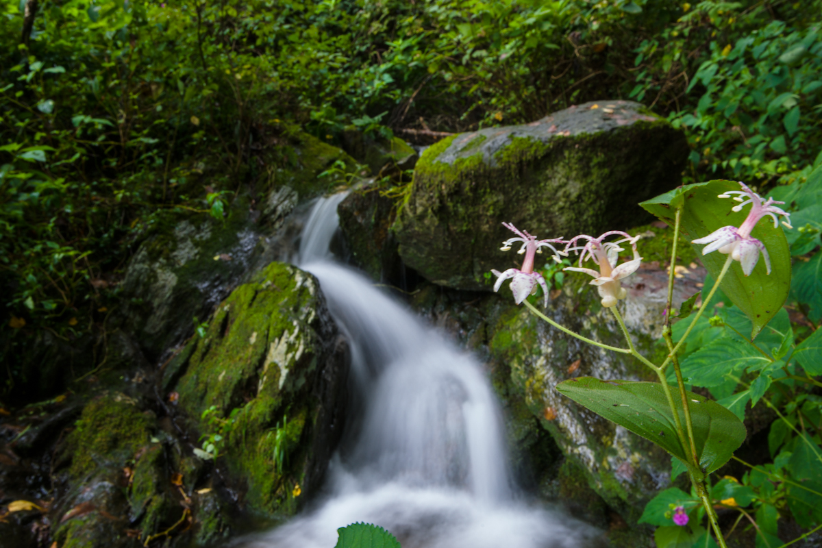 DSC09922.jpg