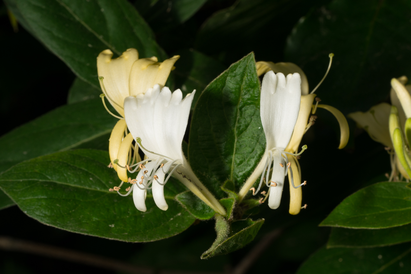 YDY07999.jpg