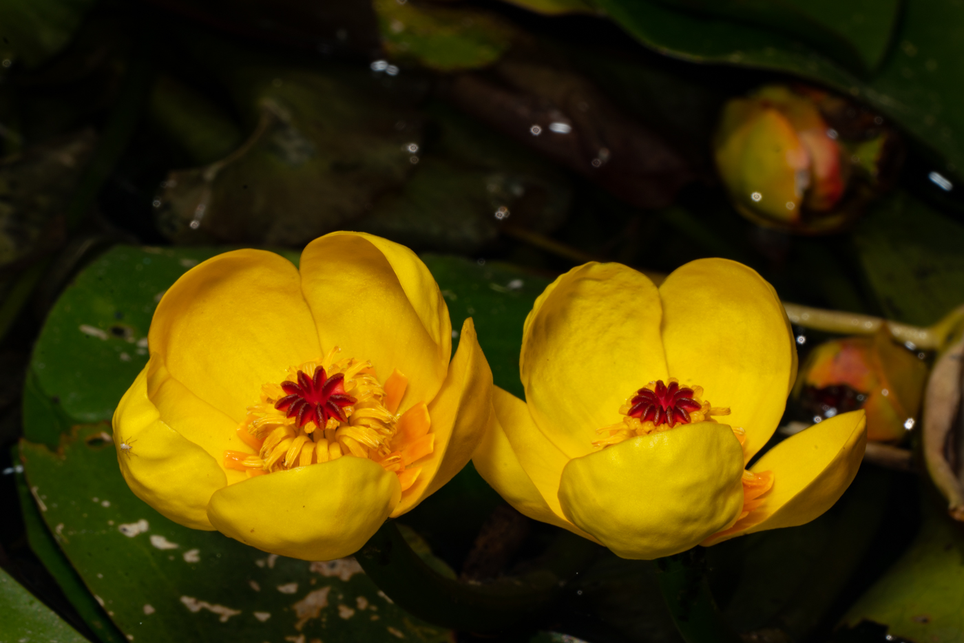 YDY09650.jpg