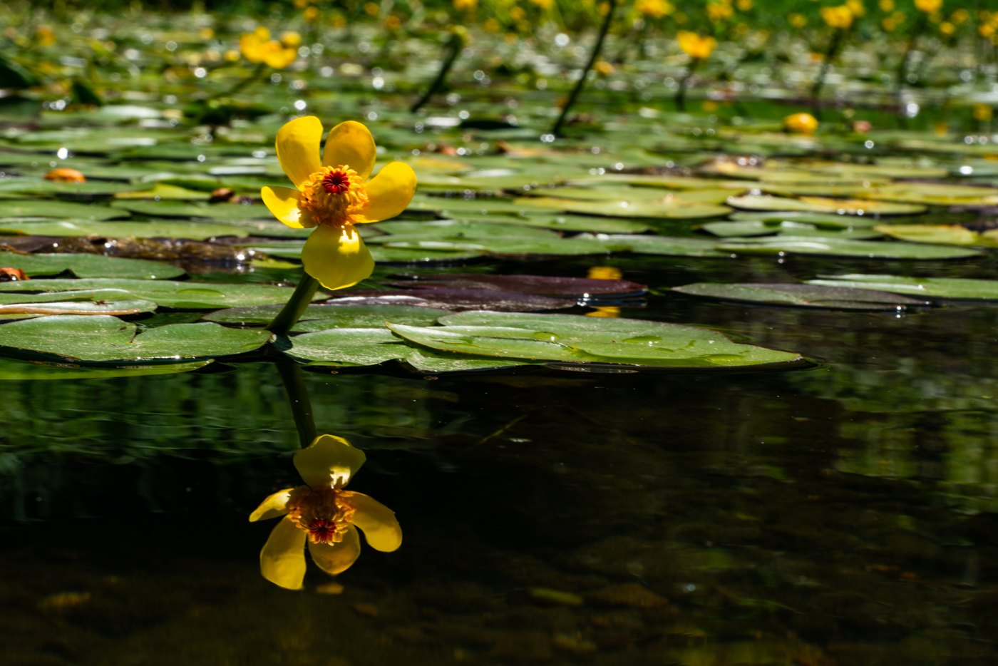 YDY09622.jpg