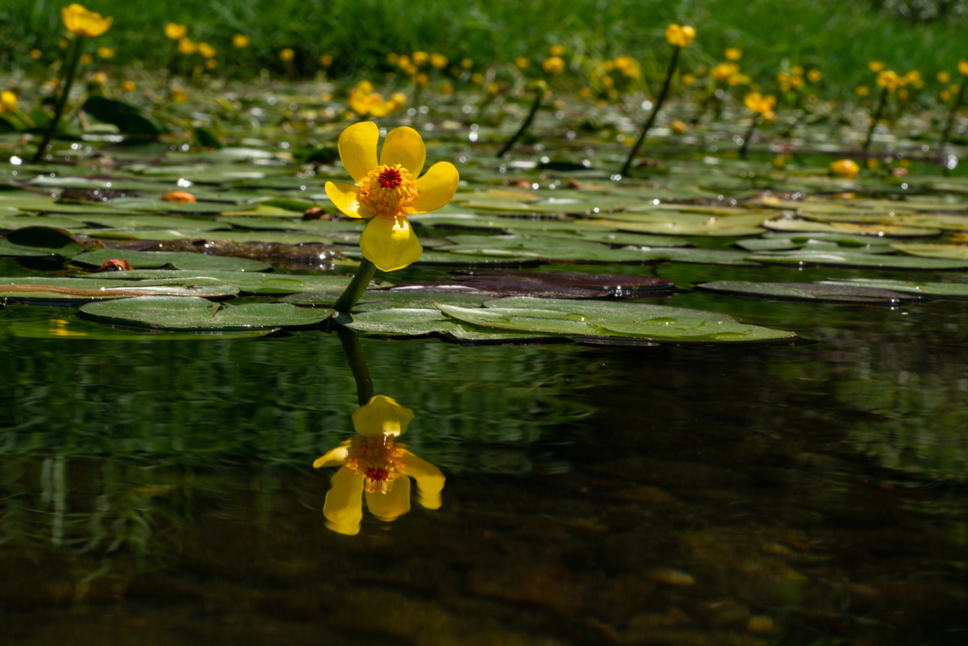 YDY09631.jpg