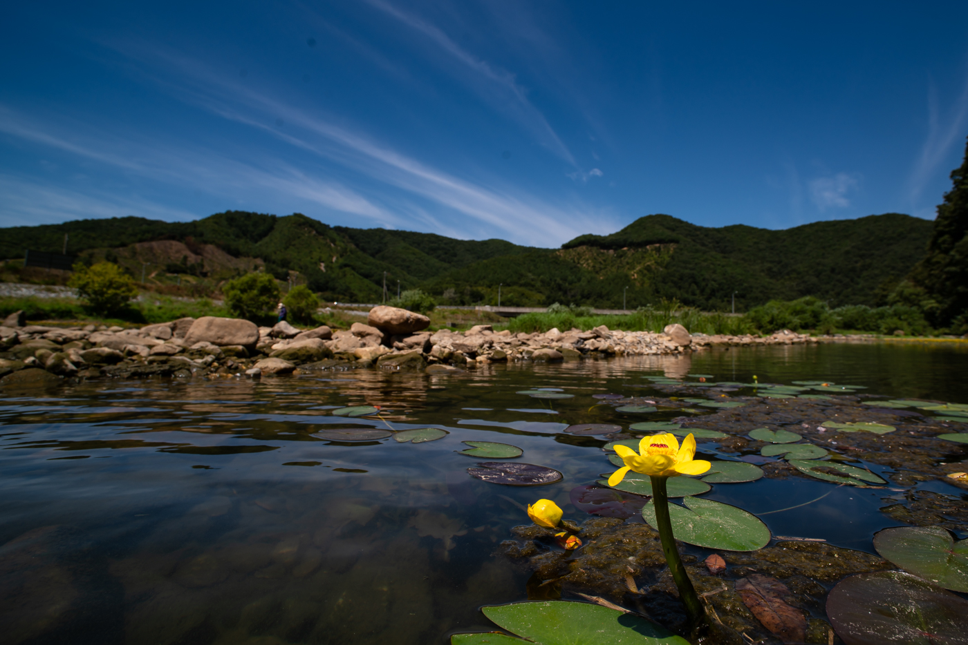 YDY09557.jpg