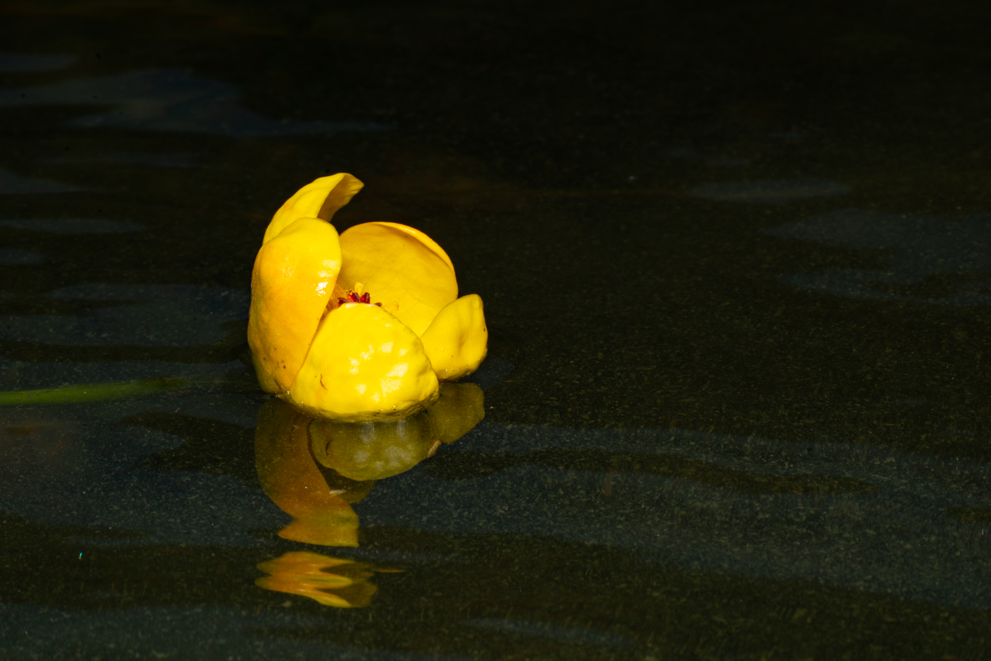 YDY09651.jpg