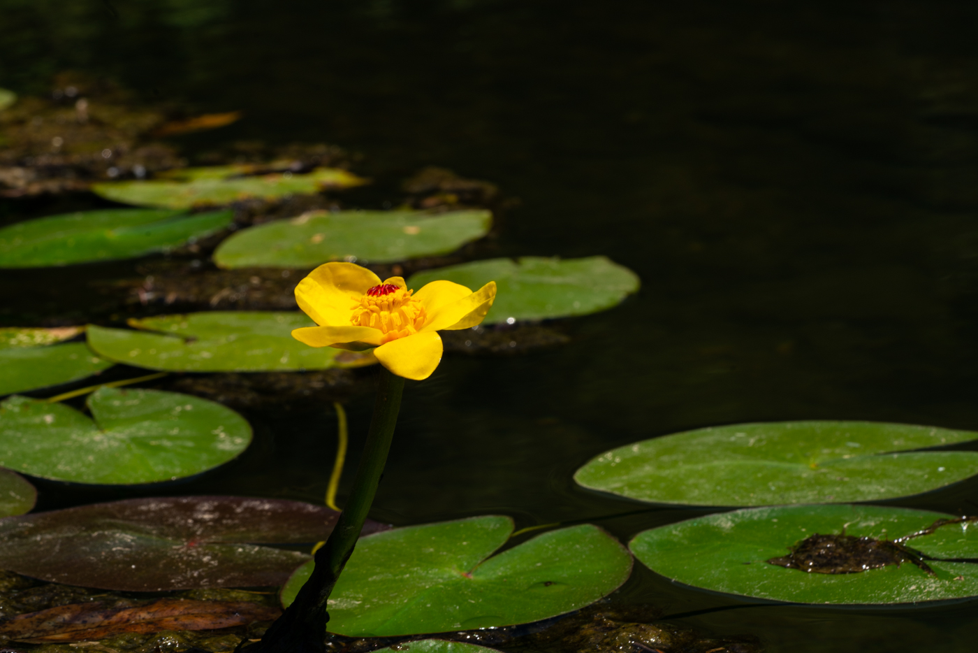 YDY09613.jpg