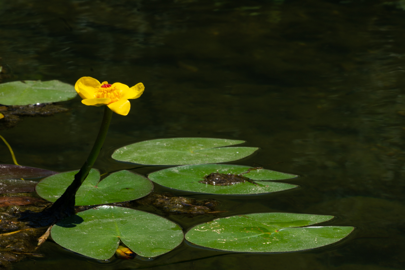 YDY09616.jpg