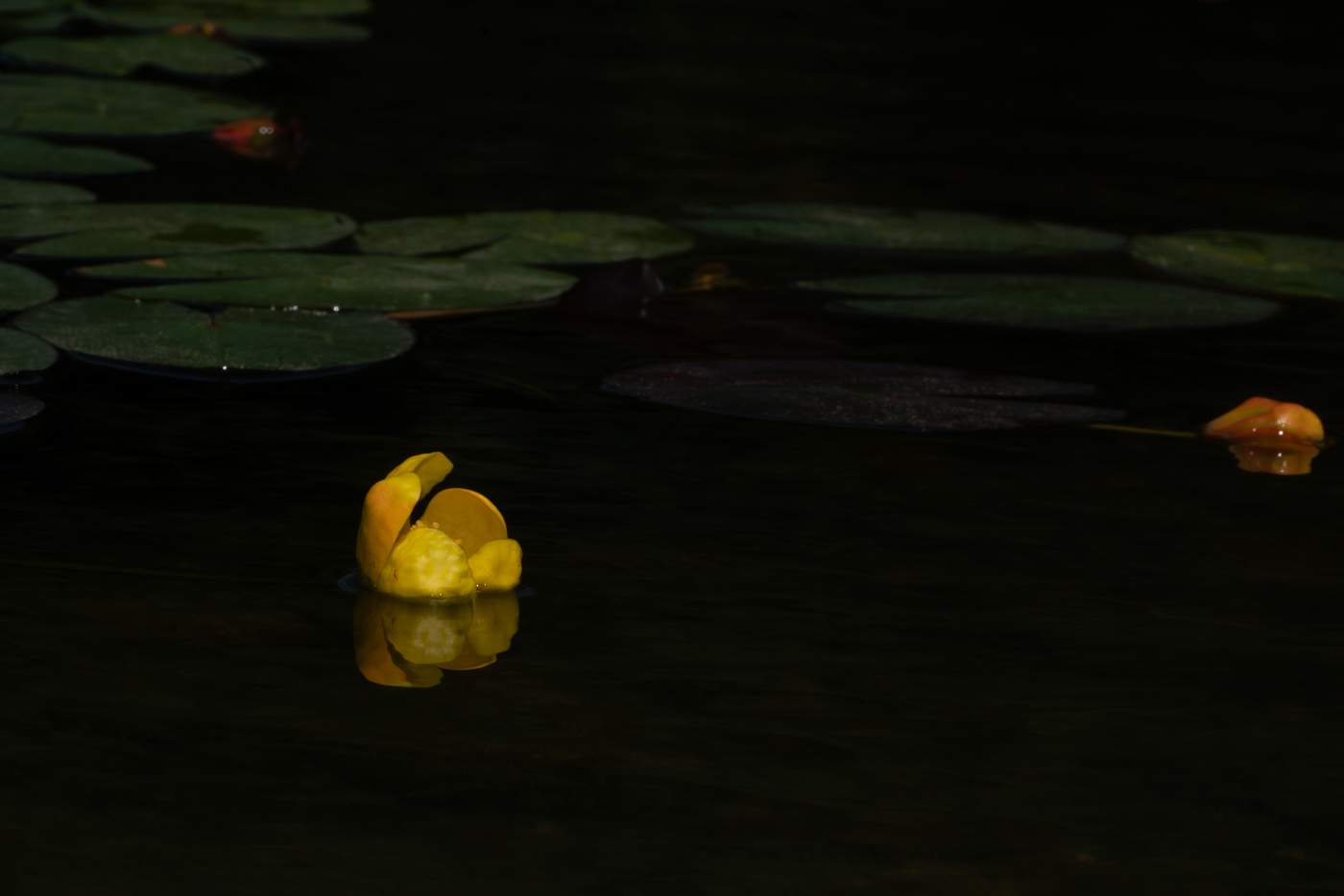 YDY09654.jpg