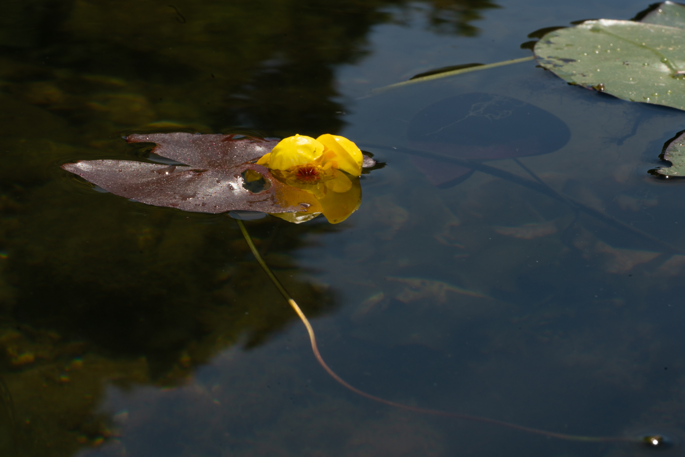 YDY09633.jpg
