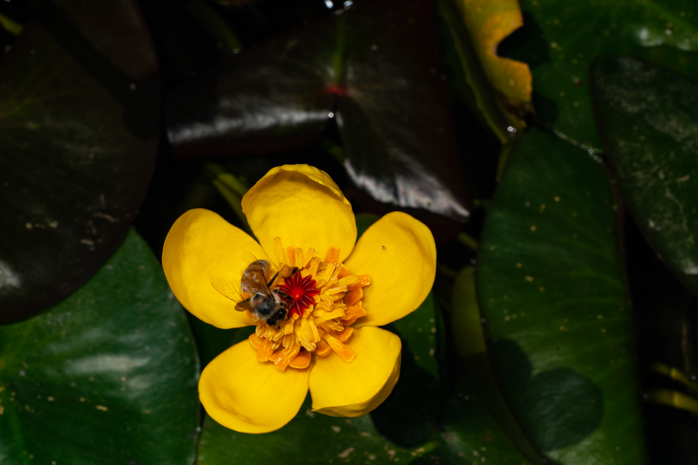 YDY09644.jpg