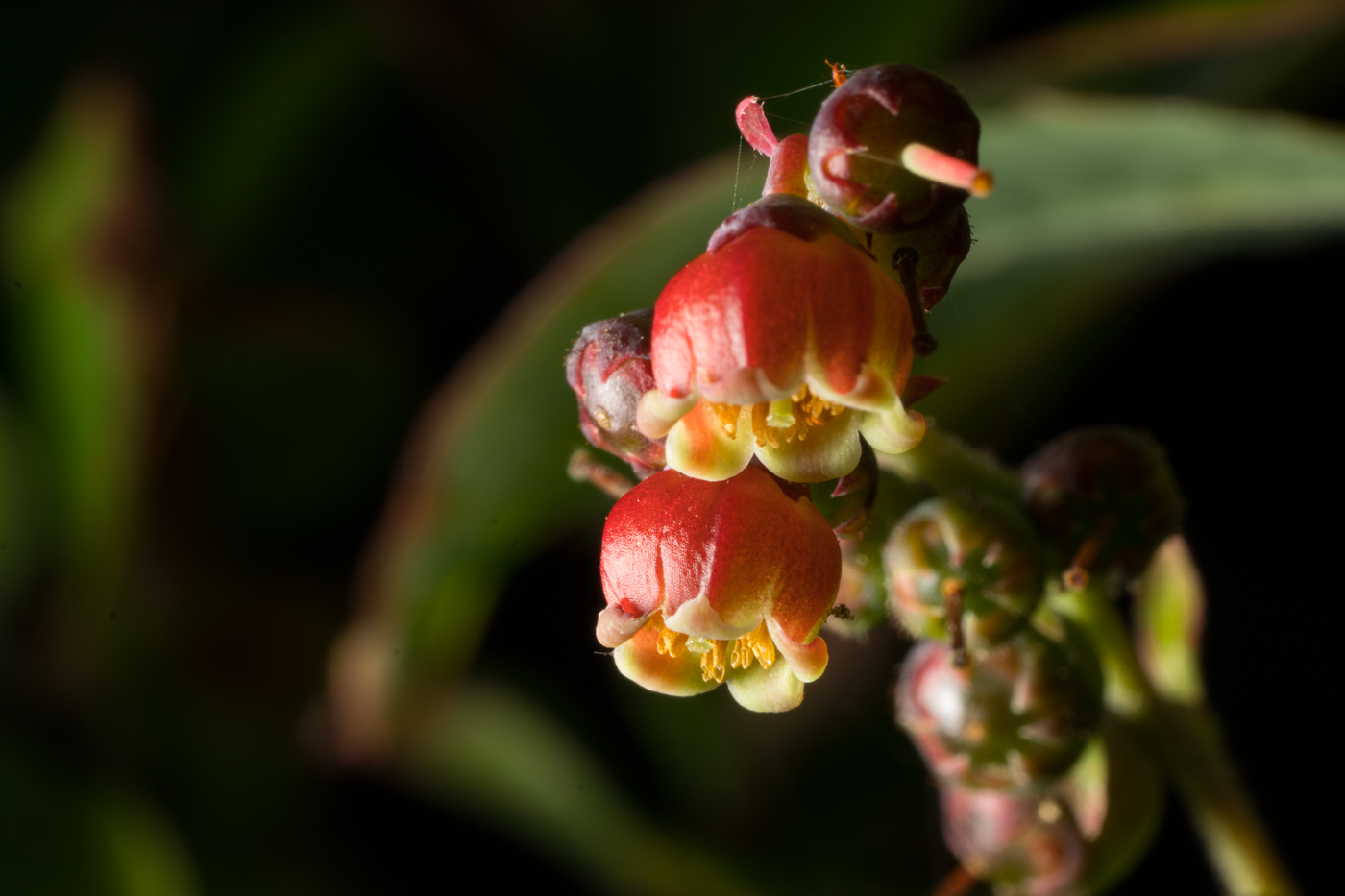 YDY07996.jpg