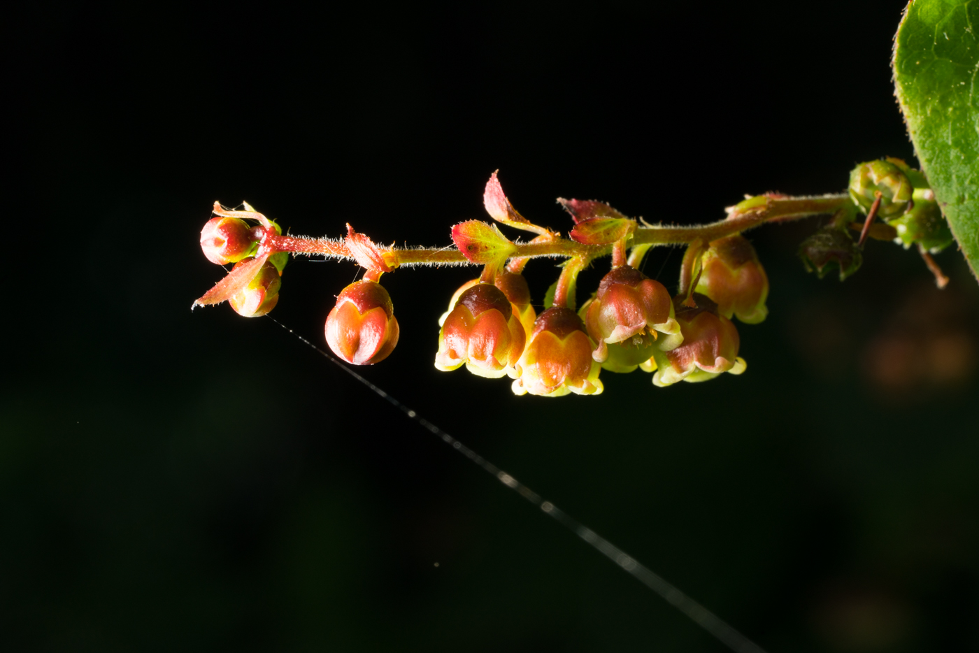 YDY08010.jpg