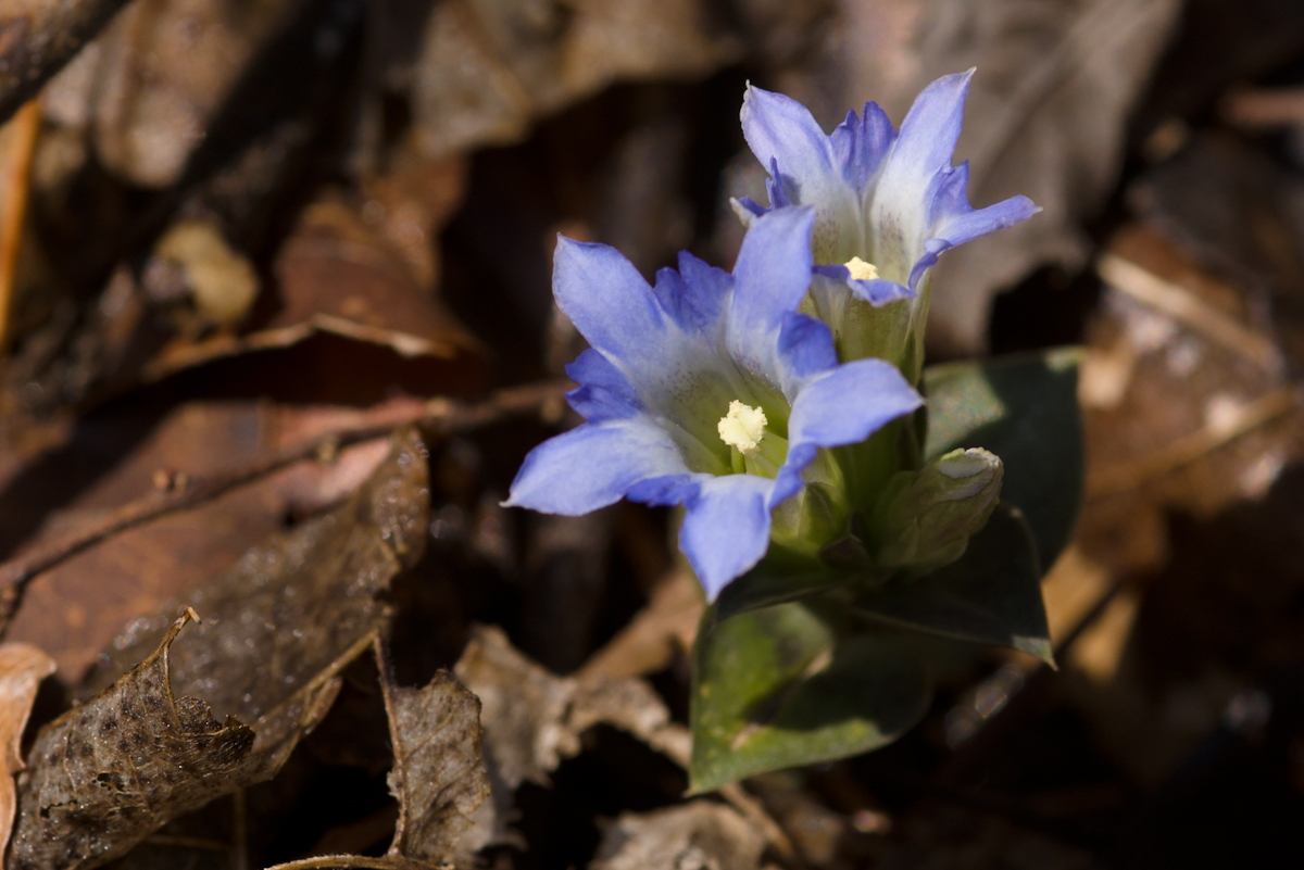 DSC02614.jpg