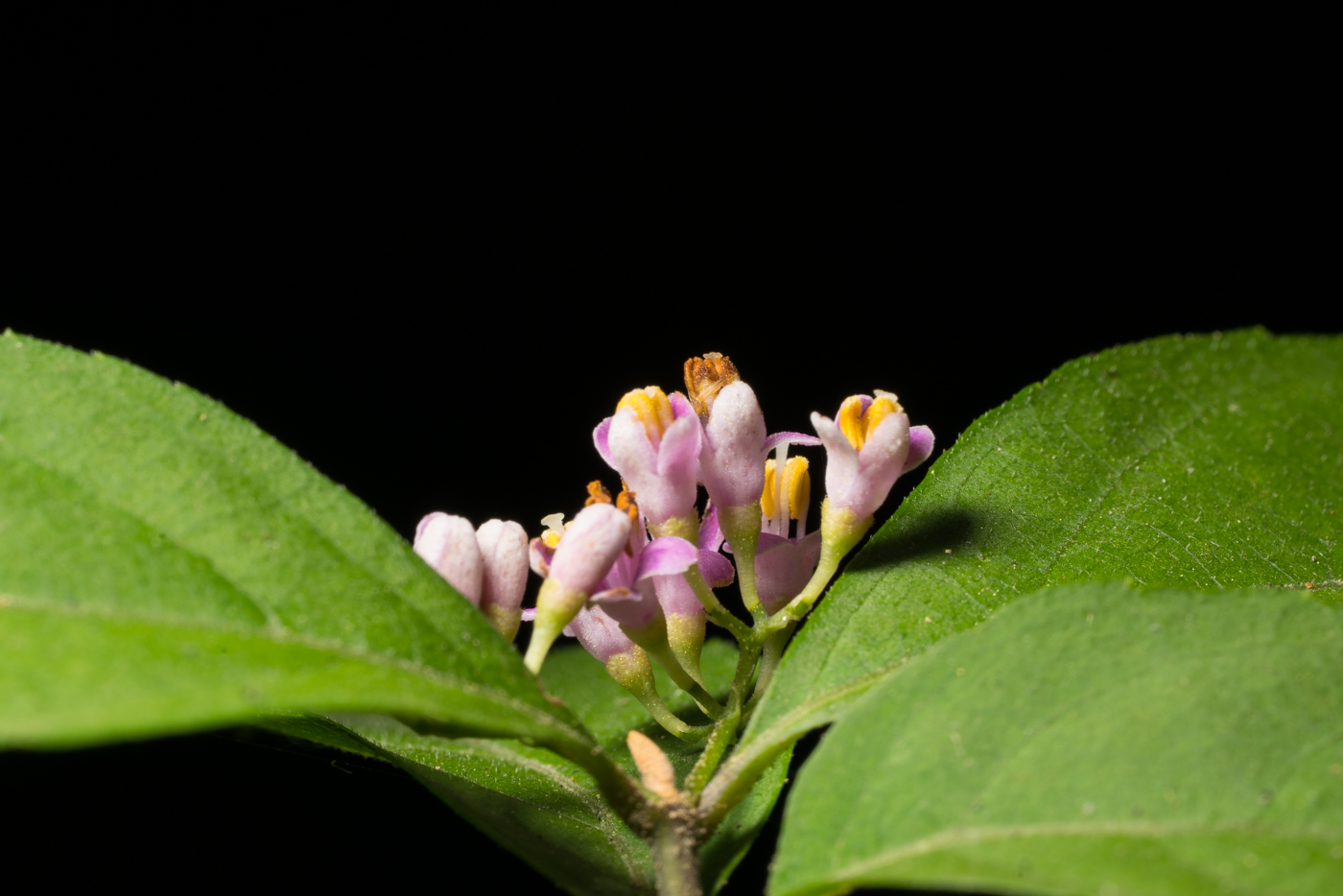 YDY08149.jpg