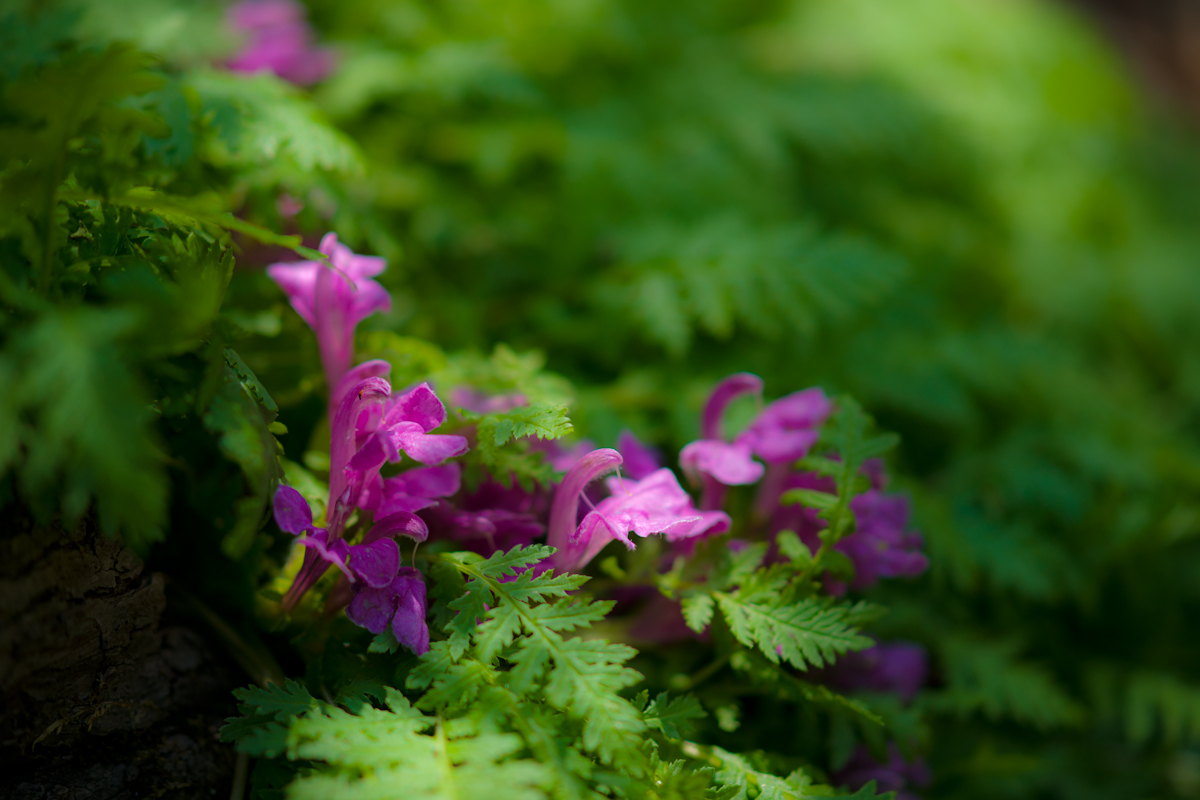 DSC05415.jpg