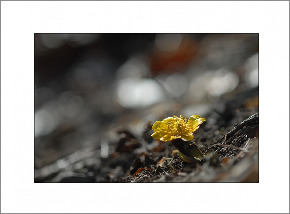 DSC_0050.JPG