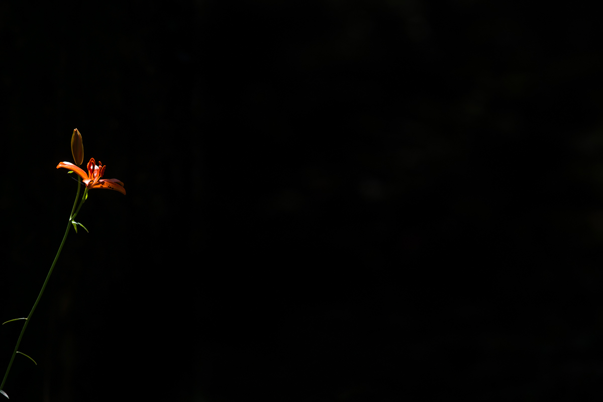 DSC09443.jpg