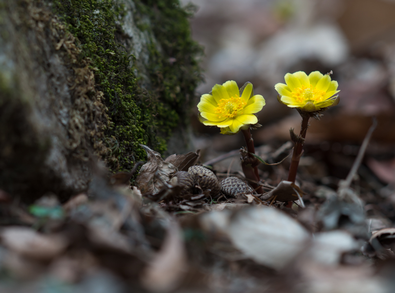 DSC08801.jpg
