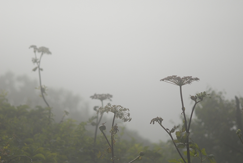 DSC_0059.JPG